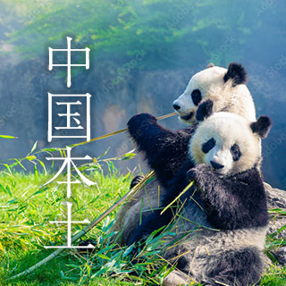 中国本土